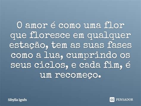 O Amor é Flor Uma canção melancólica que floresce com uma melodia vibrante